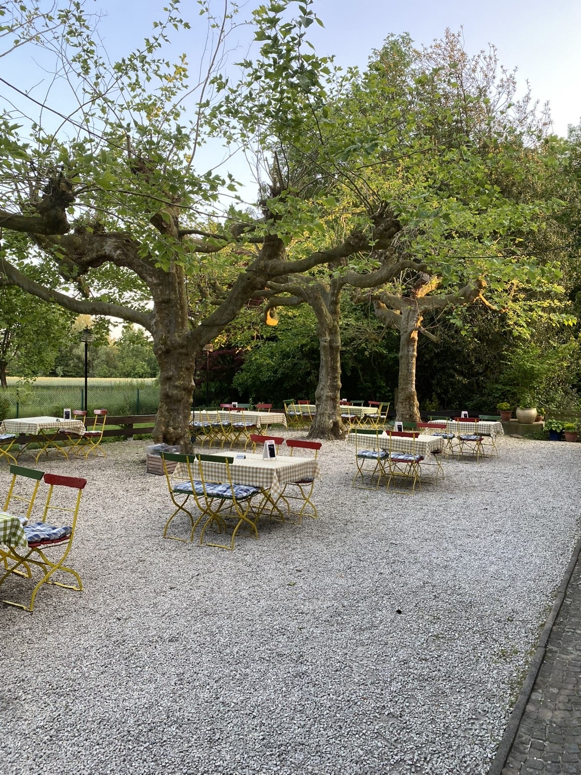 Biergarten am Abend - leere Tische unter den Platanen, warmes Licht der späten Sonne